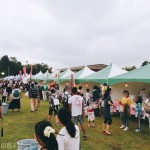 【2016】【印西】花火は残念ながら中止!いんざいふるさとまつり(終わりかけ)&花火大会に行ってきました。【中止後のニュース等追記】