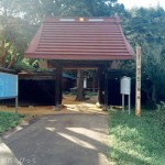 【印西】散歩におすすめ!自然を楽しめる「松崎台公園」と「結縁寺」を見に行ってきました!
