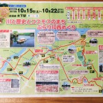 木下駅周辺を巡る「川と歴史とコスモスのまち ぶらり印西めぐり」に参加してきました!【JR東日本 駅からハイキング】