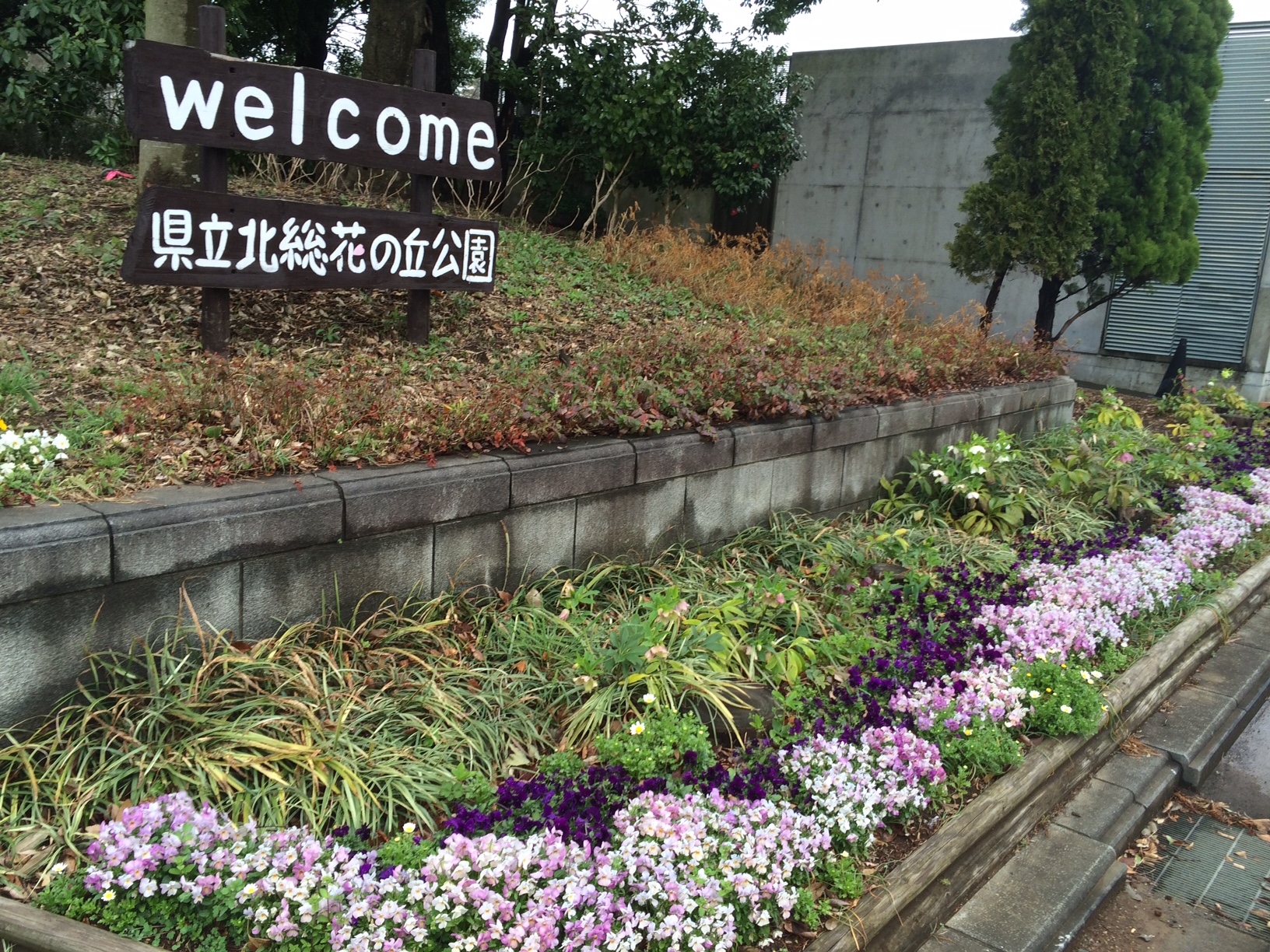 楽しい仲間の絵手紙展 が4 6 水 開催されます 北総花の丘公園 印西とぴっく