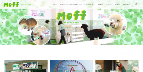 moff-animal-world-web