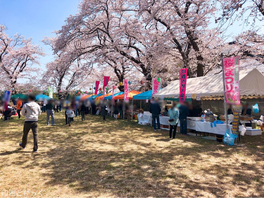 2022 桜 祭り 『天童桜まつり』2022年の日程は？
